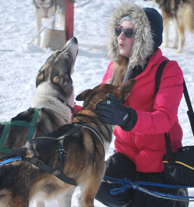 A sleigh dog puppy receiving de-worming medicine.